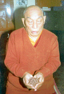 перевод у Тибеткого доктора  г. Дарамсала,  Индия