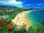 Путешествие самолетом (Авиа тур) и экзотическое путешествие на Гавайи.