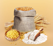 Продам муку пшеничную из Казахстана