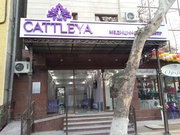 Услуги косметологов в Ташкенте от медицинского центра «CATTLEYA»