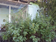 Горячее предложение: отличный дом с садом на 0, 6 га (не самострой)