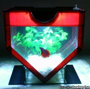 Мини-аквариум в форме сердца.