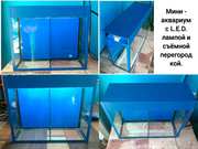 Мини-аквариум с лампой и съёмной перегородкой.