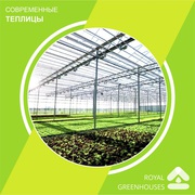 OSC Royal Greenhouses - Строительство Европейских теплиц 
