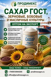 Сахар ГОСТ,  зерновые,  бобовые и масличные культуры оптом в Узбекистане
