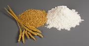 Реализуем на экспорт казахстанскую пшеничную муку высокого качества