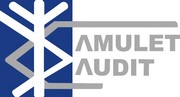 AMULET AUDIT аудиторская организация